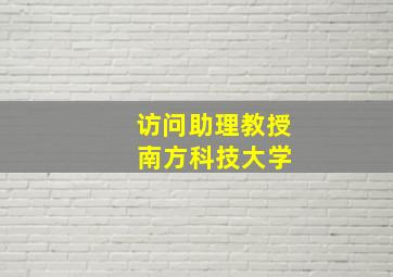 访问助理教授 南方科技大学